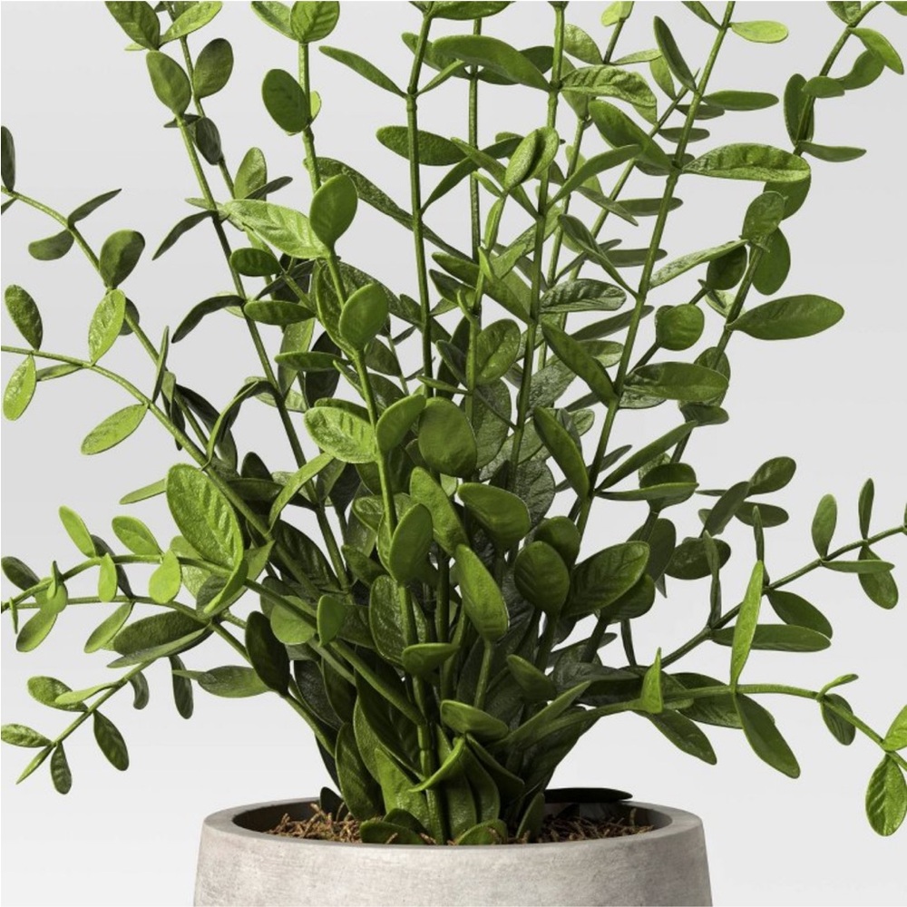 STUDIO MCGEE NWT indoor/outdoor privet faux plant in cement pot -14” - Picture 3 of 7